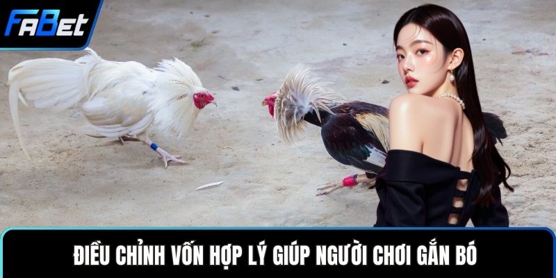 Cược Gà Cựa Dao Bí Quyết Giúp Người Mới Tự Tin Đặt Cược 3 Điều chỉnh vốn hợp lý giúp người chơi gắn bó
